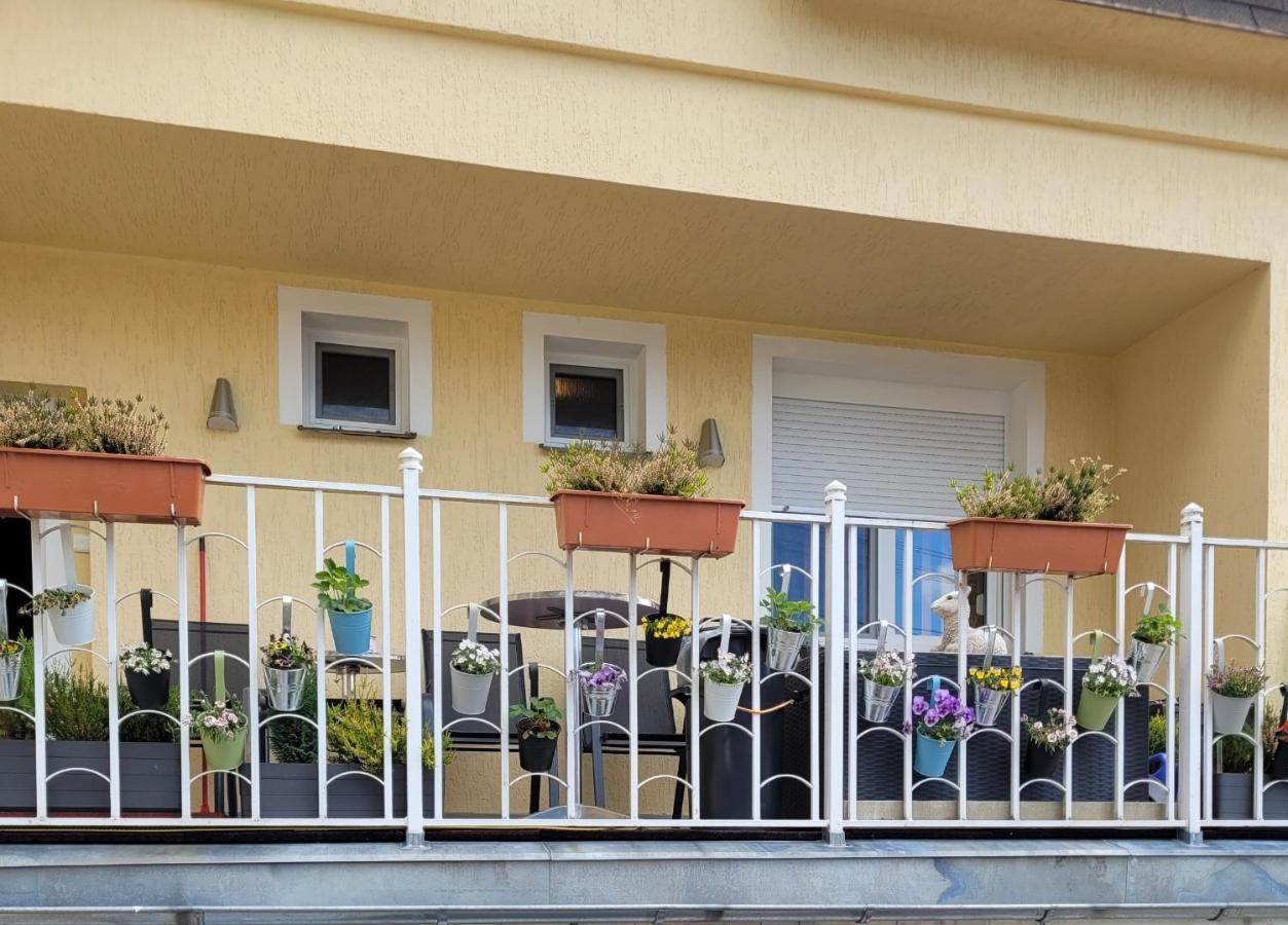 Pension Relax U Komina Франтишкови-Лазне Экстерьер фото